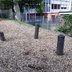 Vorschau: 