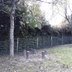 Vorschau: 