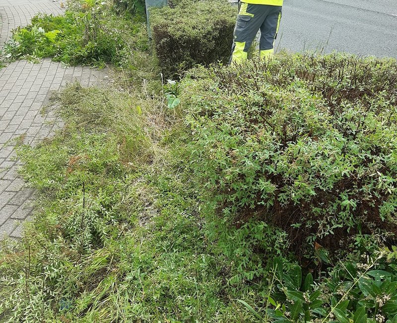 Grünpflegearbeiten am Straßenrand